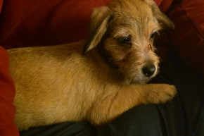 To help me move house - KindGive